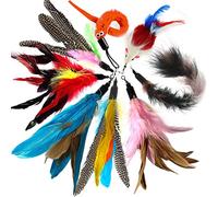 onebarleycorn Jouet à Plumes pour Chats, Plume Chat Jouet Rechange, Plumeau Jouets pour Chat Plume (8 Pièces)