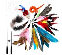 onebarleycorn Jouet Chat Plume, Jouets pour Chats à Plumes, 1 Rétractable Canne à Pêche Chat Jouet avec 8 Recharges,Interacti pour l'intérieur Chats et Chatons(9 PCS)