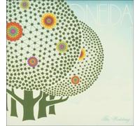 Oneida - The Wedding [Import]