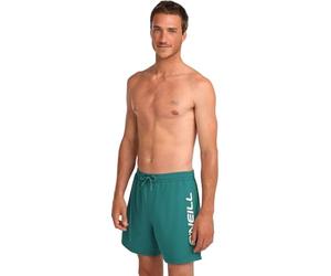 O'NEILL 2026 Hommes Short De Bain Logo 16'' 2800256 - Botanical Heat