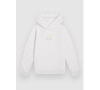 O'Neill Back Print Kids Sweat à Capuche blanc 176