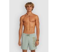 O´neill Cali 16´´ Swimming Shorts Gris L Homme