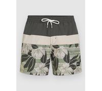 O'Neill Cali Block 15'' Boardshort vert M