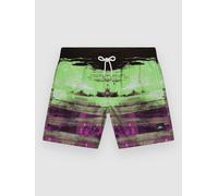 O'Neill Cali Gradient 14" Kids Boardshort noir 176