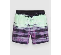 O´neill Cali Gradient 15´´ Swimming Shorts Violet M Homme