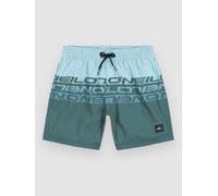 O'Neill Cali Stripe 14" Kids Boardshort bleu 104