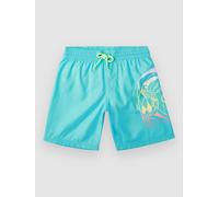 O'Neill Circle Surfer 14 Kids Boardshort bleu 164