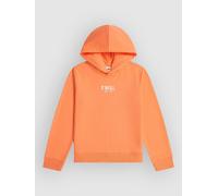 O´neill Sweat à Capuche Essentials