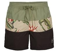 O'Neill Frame Block Shorts Men Bain Homme, Green Multi, XL