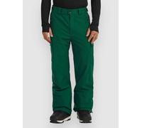 O´neill Fwc Cruz Cargo Pants Vert M Homme