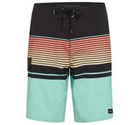 O´neill Lennox Stripe 21´´ Swimming Shorts Bleu 30 Homme