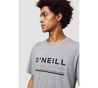 O'NEILL LM Arrowhead T-Shirt à Manches Courtes pour Homme XS Gris Argent (Silver Melee)