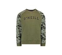 O'NEILL LM Runyon Crew Sweat-Shirt pour Homme M Vert (Winter Moss)