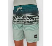 O'Neill - Kid's Logo Stripe Swimshorts - Short de bain - 140 - boys green heritage o'neill