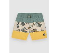 O'Neill Mix & Match Cali Block 13'' Kids Boardshort