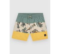 O'neill Mix & Match Cali Block 13'' Kids Boardshort