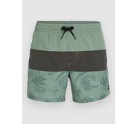 O'Neill Mix & Match Cali Block 15'' Boardshort vert L