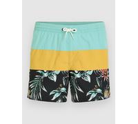 O'Neill Mix & Match Cali Block 15'' Boardshort vert M