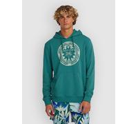 O'Neill Musthave Graphic Sweat à capuche vert XS