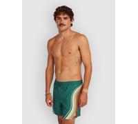 O´neill O´riginals Longboard 15´´ Swimming Shorts Vert M Homme