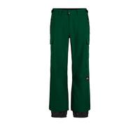 O´neill Fwc Cruz Cargo Pants Vert S Homme