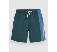 O´neill Retro 14´´ Swimming Shorts Vert,Bleu L Homme