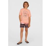 O´neill Cali Gradient 14´´ Swimming Shorts Rose 11-12 Years Garçons