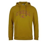O'Neill Sweat-Shirt à Capuche State pour Homme, Homme, Sweat à Capuche, 1A1438, Harvest Doré, L