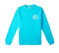 O'NEILL Sweat Turquoise Fille Circle Surfer 16 Turquoise 13-14 Ans