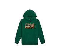 O´neill Essentials Hoodie Vert 3-4 Years Garçon