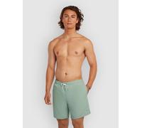 O´neill Vert 16´´ Swimming Shorts Vert M Homme