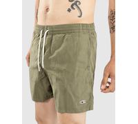O´neill N03200 Vert Swim 16´´ Swimming Shorts Vert S Homme