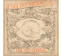 Onelinedrawing - The Volunteers [Vinyl]