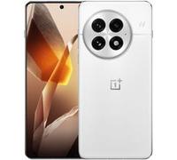 OnePlus 13 512 Go Arctic Dawn