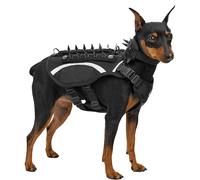 Onetigris Gilet Tactique à Pointes avec Collier Amovible, STEGOSAUR Harnais de Protection pour Chien avec Pointes et Bandes Réfléchissantes pour Chiens de Petite/Moyenne Taille en Extérieur (S)