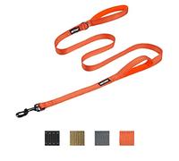 OneTigris Laisse pour chien sans tirage, longue, pour chiens de taille moyenne et grande (orange, 1,83 m)