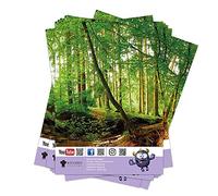 OneWheel, Crédence de cuisine autocollante, motif de couleur, film PVC dur, sticker mural pour miroir carrelé, motif d'arbres verts, motif : forêt