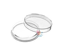 OnFireGuy High Relief 39 mm Direct Fit 2 oz Queen's Beast et 2 oz Biblique