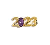 Ongles Art Pierres de race Luxe Brillant Diamants à Ongles Métal Bijoux d'Ongles Décorations en Alliage pour Art Artisanat