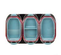 Oniissy Boîte de pêche magnétique à 3 compartiments pour hameçons et leurres, plateau de rangement étanche avec couvercle transparent, organiseur compact pour mouches, appâts, vis, 28 x 17 cm