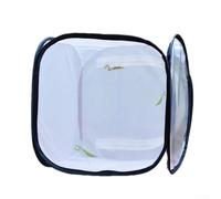 Oniissy Boîtes de croissance portables pour plantes - Habitats d'insectes et de papillons - Enclos de jardinage pliables pour fleurs et herbes - 83 x 83 x 7,6 cm - Blanc (76,2 x 76,2 x 76,2 cm)