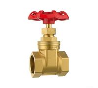 Oniissy Vanne de porte cryptée DN15 en laiton - Vanne d'écluse rotative BSPP G1/2 232 PSI - Filetage interne DN25 - Pour eau, huile, gaz avec poignée à tête rouge (DN20)