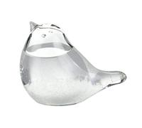 OnIUeZky Storm Verre Météo Prévision de météo Prédictor Stations météorologiques Forme des Oiseaux Prédictor Station de liquides Baromètre DÉCORD Cadeau