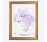 Online-GalleryKing Cadre photo en bois 49 x 73 cm Or uni | Photos | Affiches | Puzzles | Galerie | Cadre