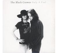 Only a Fool [UK Import]