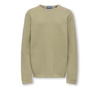 Only Kids Osjpanter Reg Crew Knit Noos