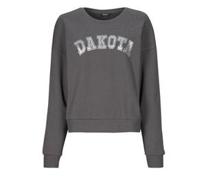 Only Sweatshirts ONLJOLANA in Gris EU L