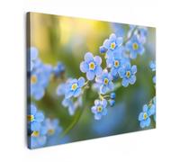 OnlyWow© Poster De Jardin 100x70 cm Original Mur Tableau Decoration Murale Balcon Peinture Tableaux Terrasse Impression Art Mural Deco Décoratif Muraux Fleurs - Bleu - Ne m'oubliez Pas
