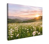 OnlyWow© Poster De Jardin 100x70 cm Original Mur Tableau Decoration Murale Balcon Peinture Tableaux Terrasse Impression Art Mural Deco Décoratif Muraux Marguerite - Champ - Collines - Vert