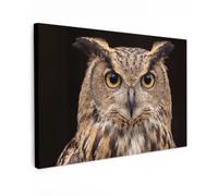 OnlyWow© Poster De Jardin 120x80 cm Deco Exterieur Decoration Balcon Décoration Affiche Murale Extérieur Terrasse Déco Appartement Extérieure Hibou - Portrait - Marron